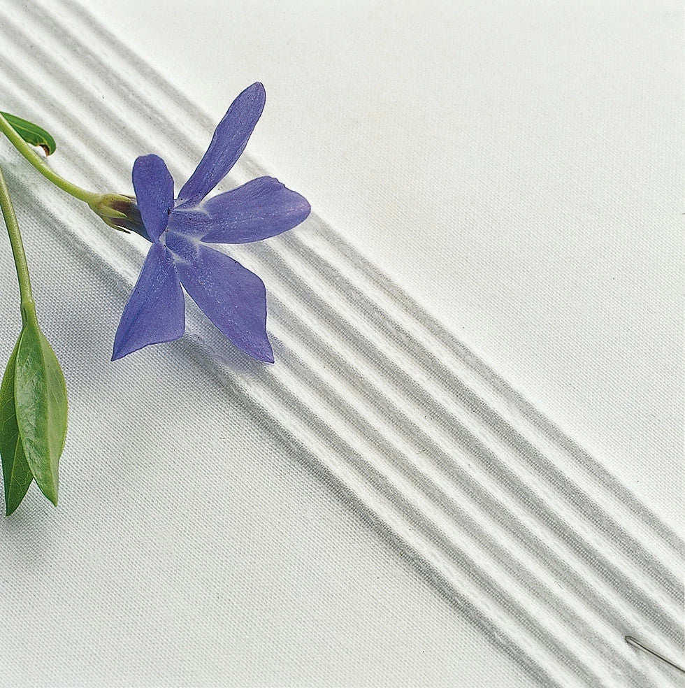 HV 7 Groove Pin Tuck Foot