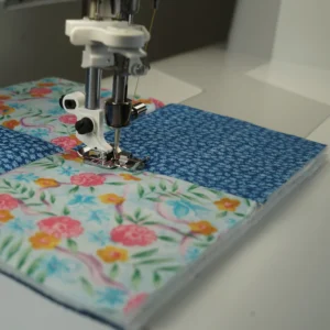 HV Adjustable Stitch in Ditch Foot